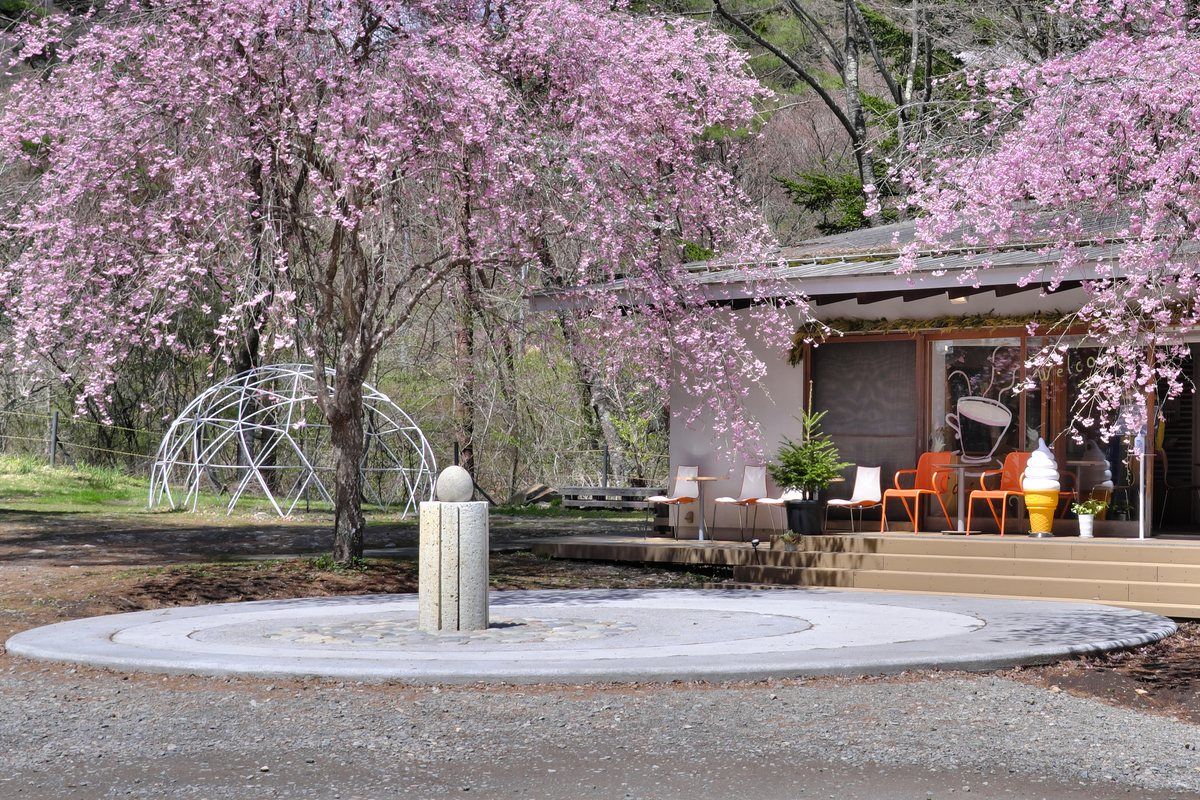 大願成就のなで石と森のカフェKISEKIの外観(桜の季節)